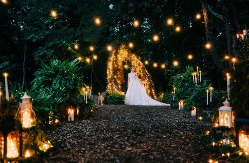 carousel-hero-element image-2