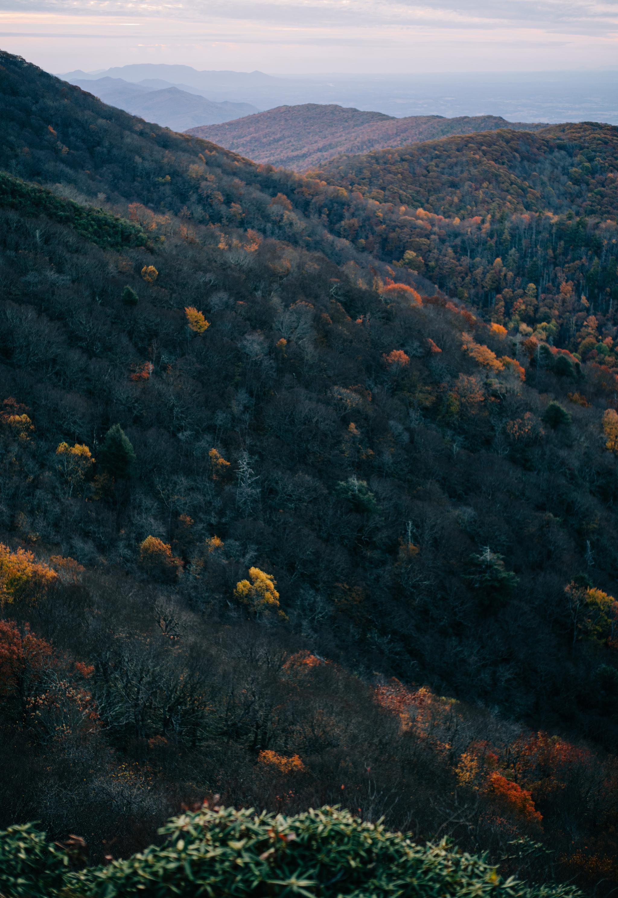 A Dreamy Engagement Shoot in the Appalachian Mountains: An Unforgettable Experience